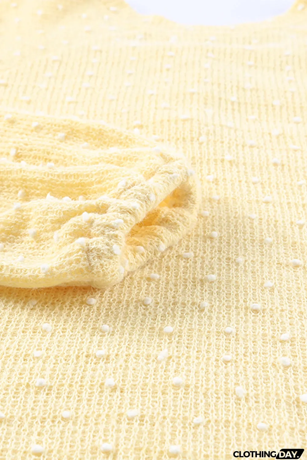 Swiss Dot Raglan Sleeves Knit Top