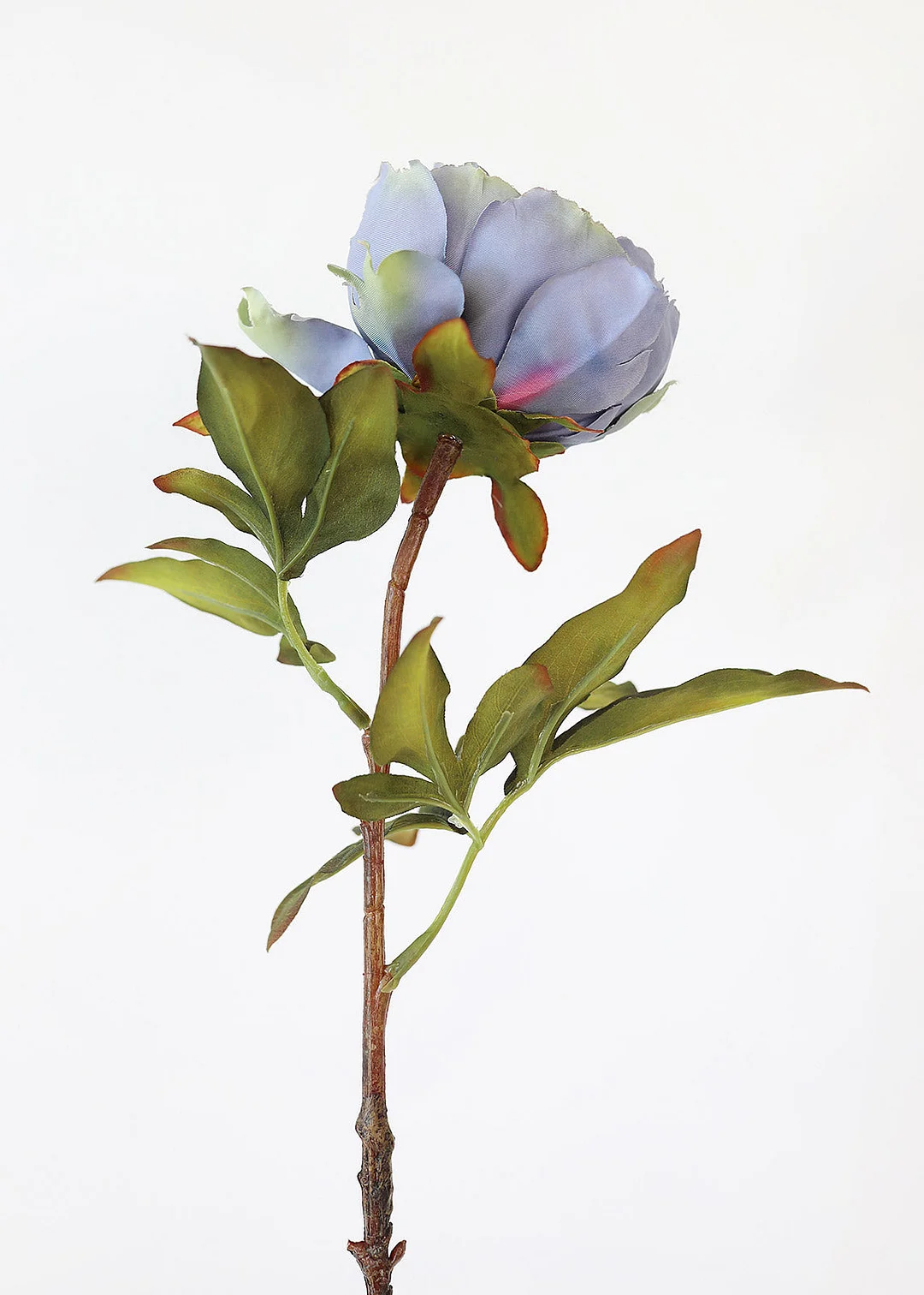 Silk Peony in Antique Blue - 22"