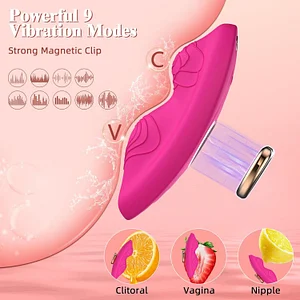 App-Controlled 9-Speed Wireless Remote Panty Vibrator