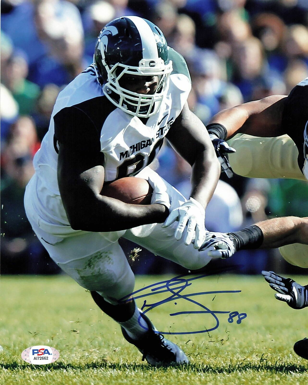 Dion Sims Signed 8x10 Photo Poster painting PSA/DNA Michigan State Spartan Autographed