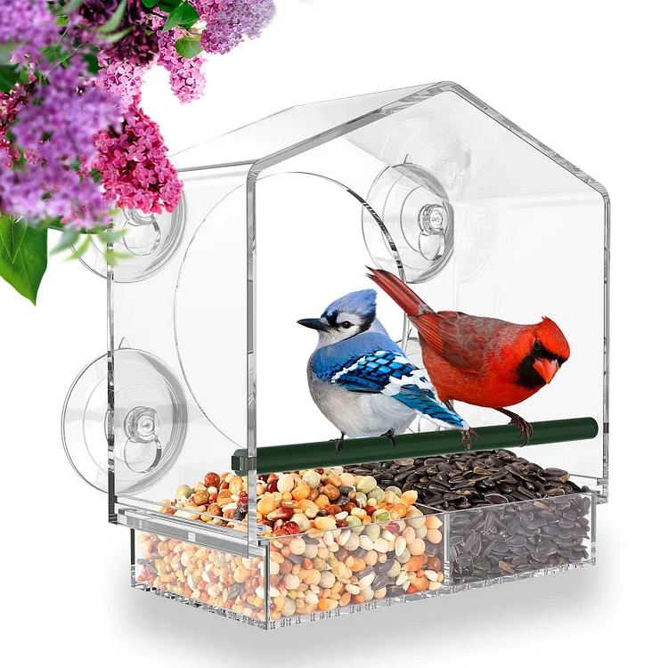 🔥50% OFF—Window Bird Feeder for Outside