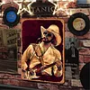 Hank Williams Jr. - Metal Tin Signs(8*12Inch/12*16Inch)