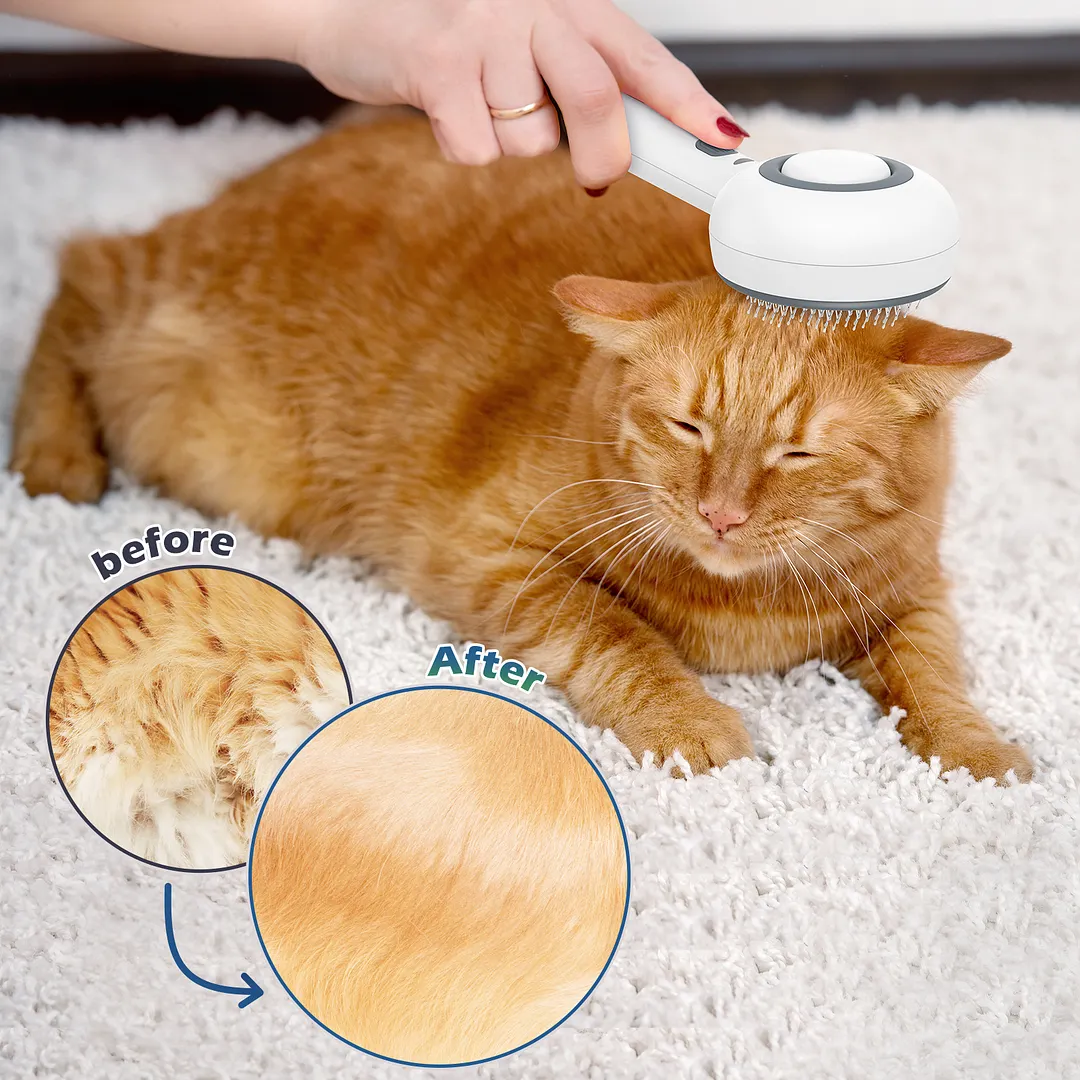 BEBANG Cat Steam Brush 3 in 1, One-Click Hair Removal Brush with Steam for Cats and Dogs