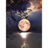 Moon On The Lake  | Full Round Diamond Painting Kits