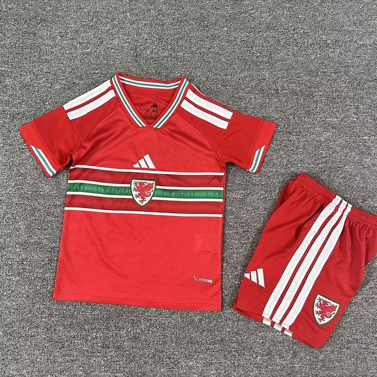 Kids Wales 2026 World Cup Home Football Kit