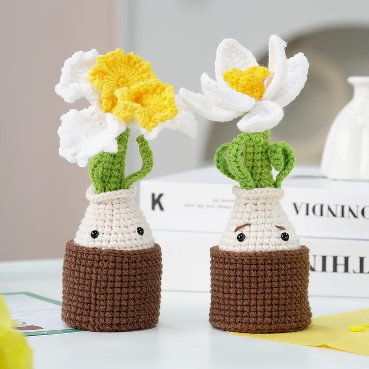 YarnSet - Crochet Kit For Beginners - Iris and Narcissus
