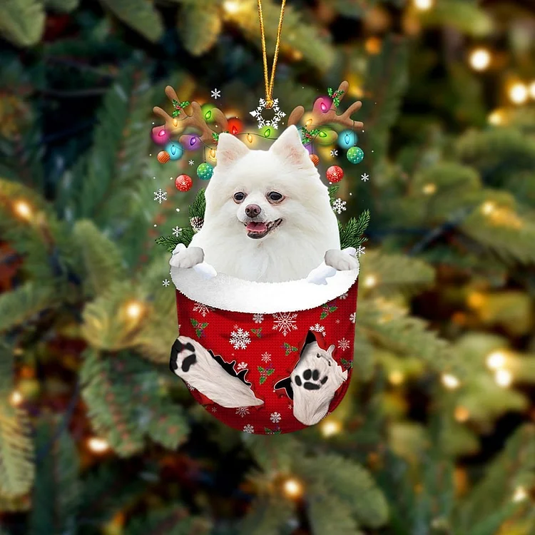WHITE Pomeranian In Snow Pocket Ornament