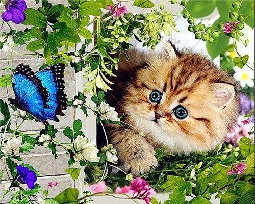 

Beautiful Cat & Butterfly – Paint By Numbers - 40*50CM, 501 Original