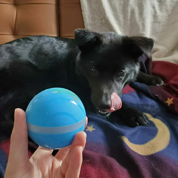 Pet Balls
