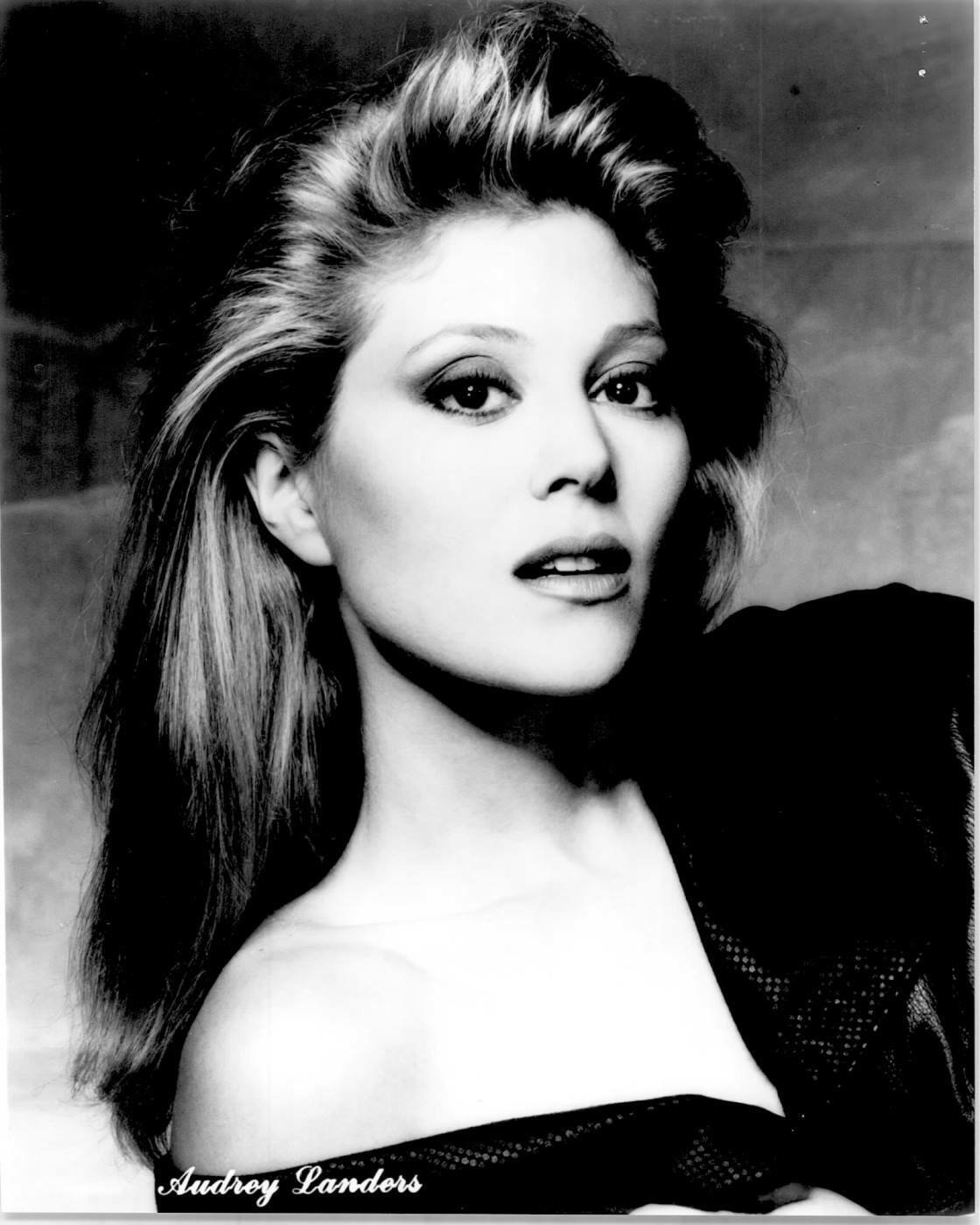 Audrey Landers - 8x10 Headshot Photo Poster painting - Dallas