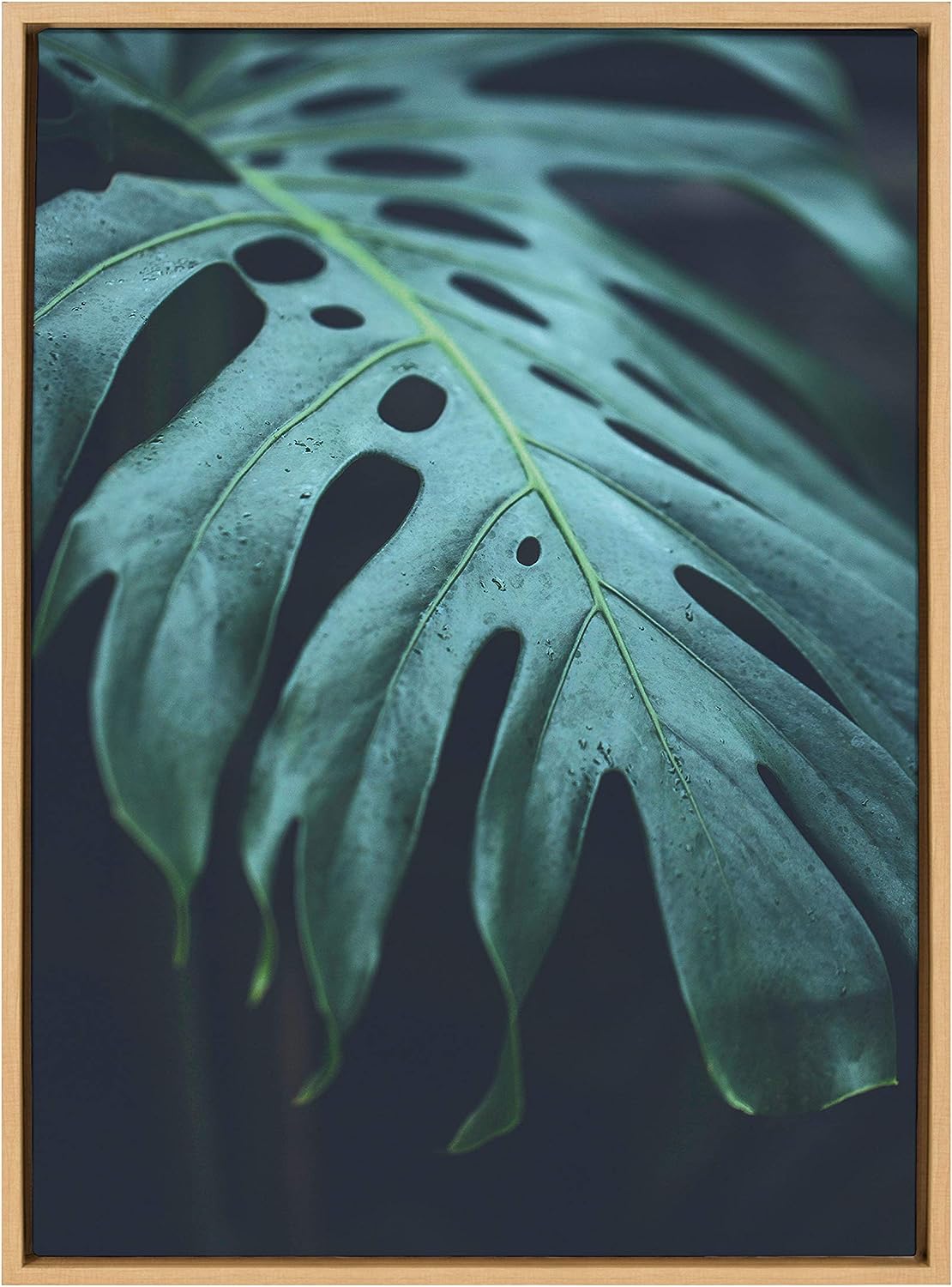 Kate and Laurel Sylvie Tropical Frond Framed Canvas Wall Art by F2 Images, 23x33 Natural, Wildlife Wall Decor
