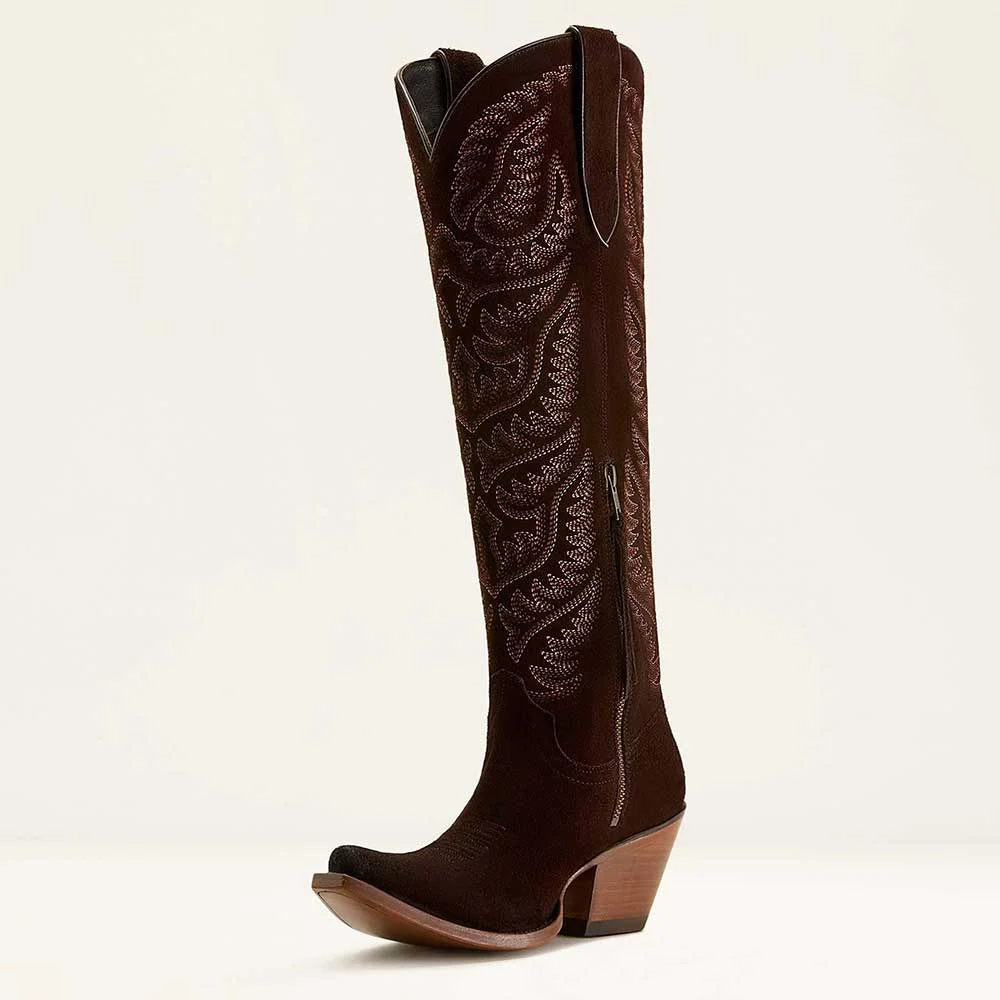 Brown Snip Toe Chunky Heel Embroidered Cowgirl Boots for Women