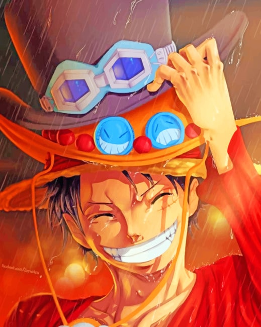 

One Piece Luffy – Paint By Numbers - 40*50CM, 501 Original