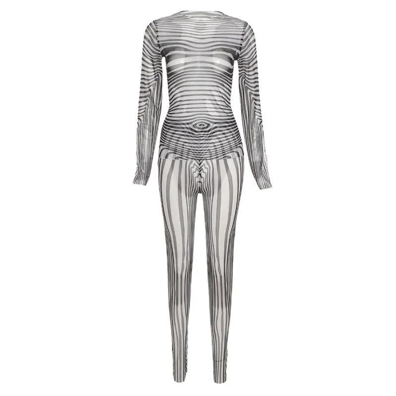 Hawthaw Women Autumn Long Sleeve Tops Long Pants Zebra Striped Printed Mesh Two Piece Set Suit 2021 Female Wholesale Clothes