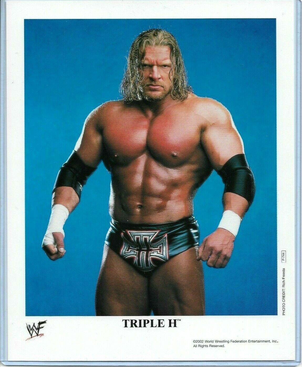 WWE TRIPLE H P-744 OFFICIAL LICENSED AUTHENTIC ORIGINAL 8X10 PROMO Photo Poster painting RARE