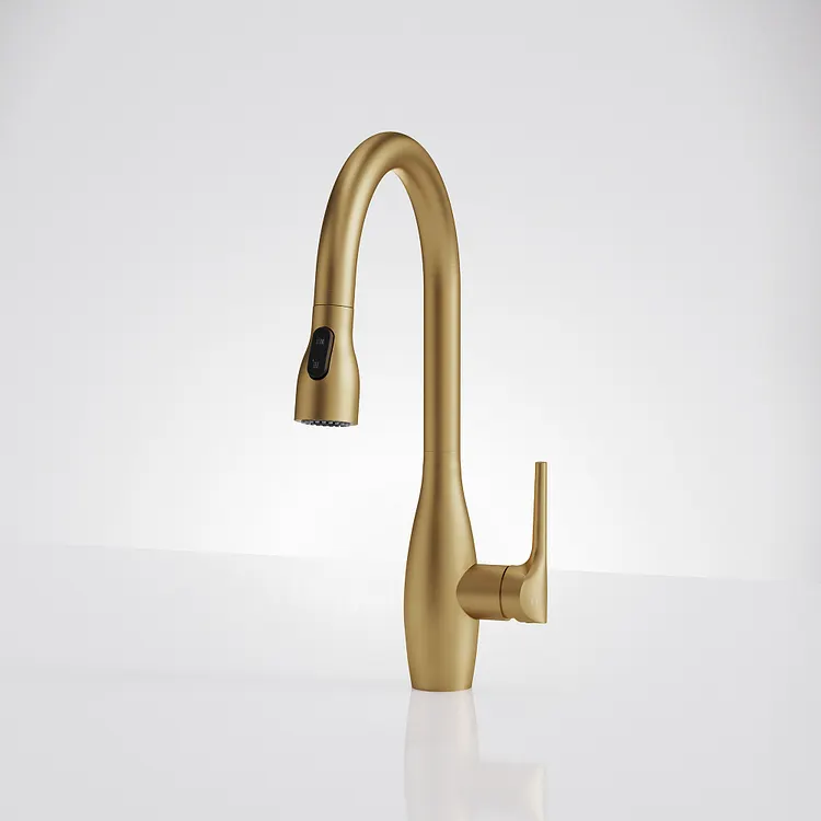 EVERSTEIN Pull Down Kitchen Faucet with Sprayer Brushed Gold 