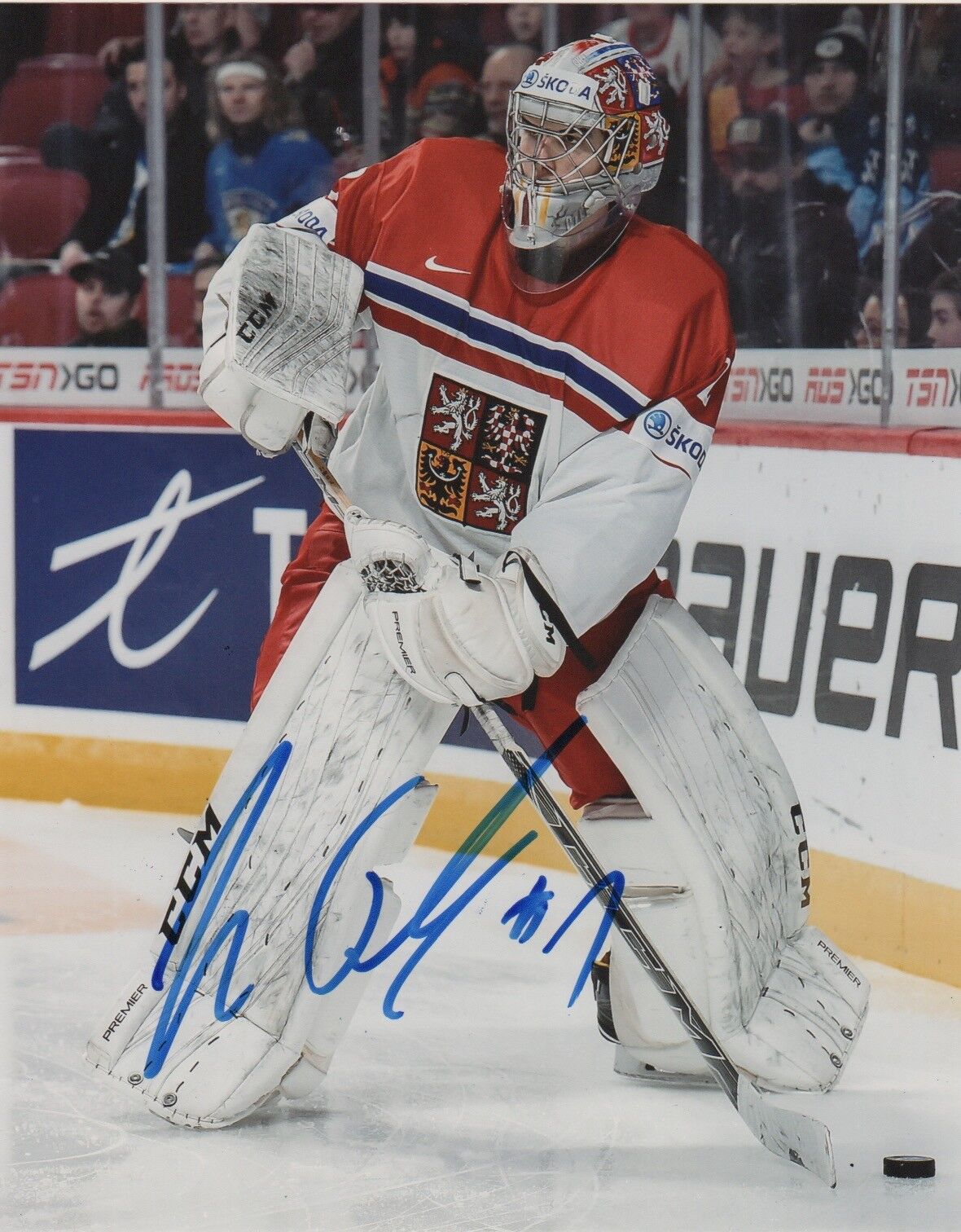 Czech Jakub Skarek Signed Autographed 8x10 IIHF Photo Poster painting COA #1