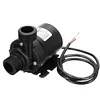 DC 12V/24V Immersible Pump 800L/h Water Immersion Pump 5.5 for Garden Fountain