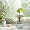 Avocado Seed Starter Vase Transparent Glass Avocado Tree Flower Vase for Balcony