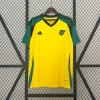 2024 Jamaica Soccer Jersey Home