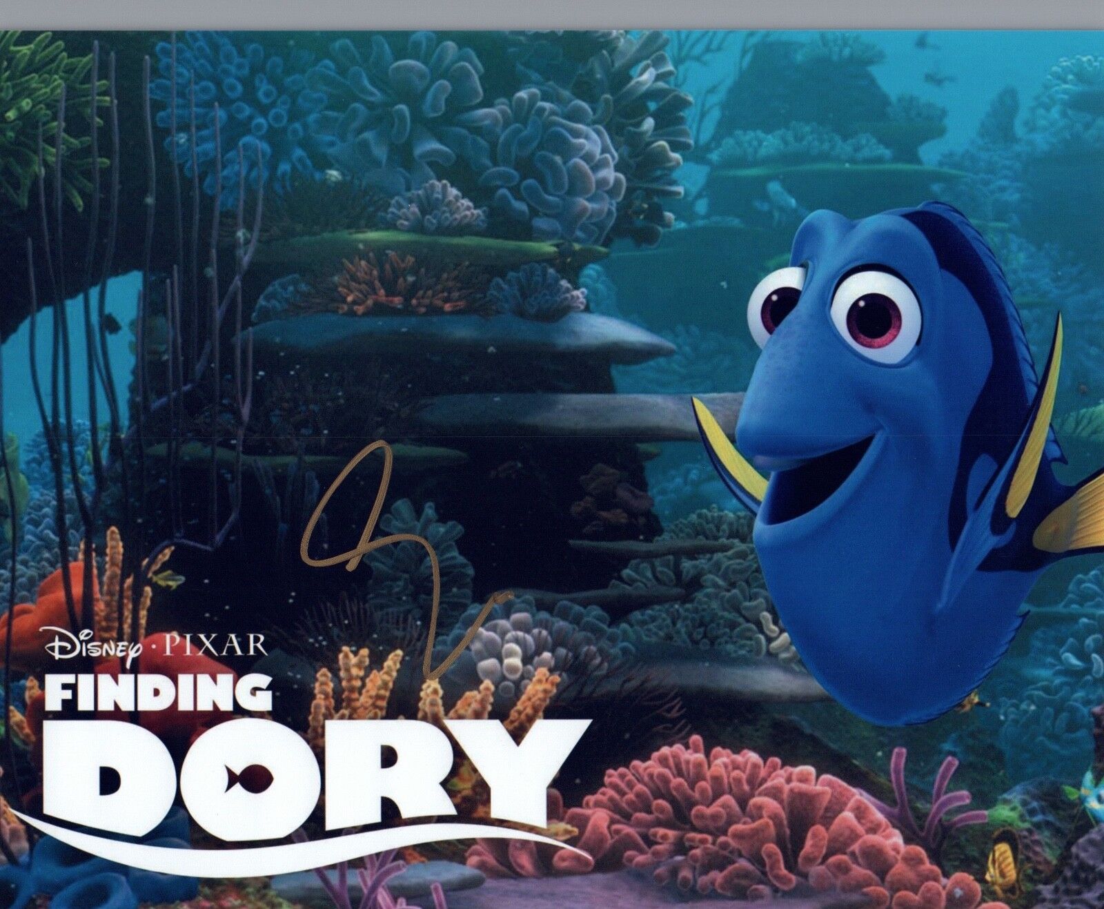 Ellen DeGeneres Signed Autographed 8x10 Photo Poster painting FINDING DORY Nemo COA