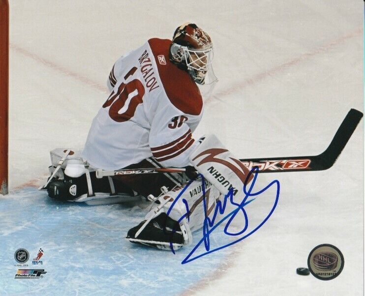 ILYA BRYZGALOV SIGNED PHOENIX COYOTES GOALIE 8x10 Photo Poster painting #3 ARIZONA Autograph