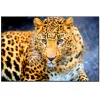 Leopard | Full Round Diamond Painting Kits