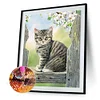 Diamond Painting-DIY Full Square Drill Cat