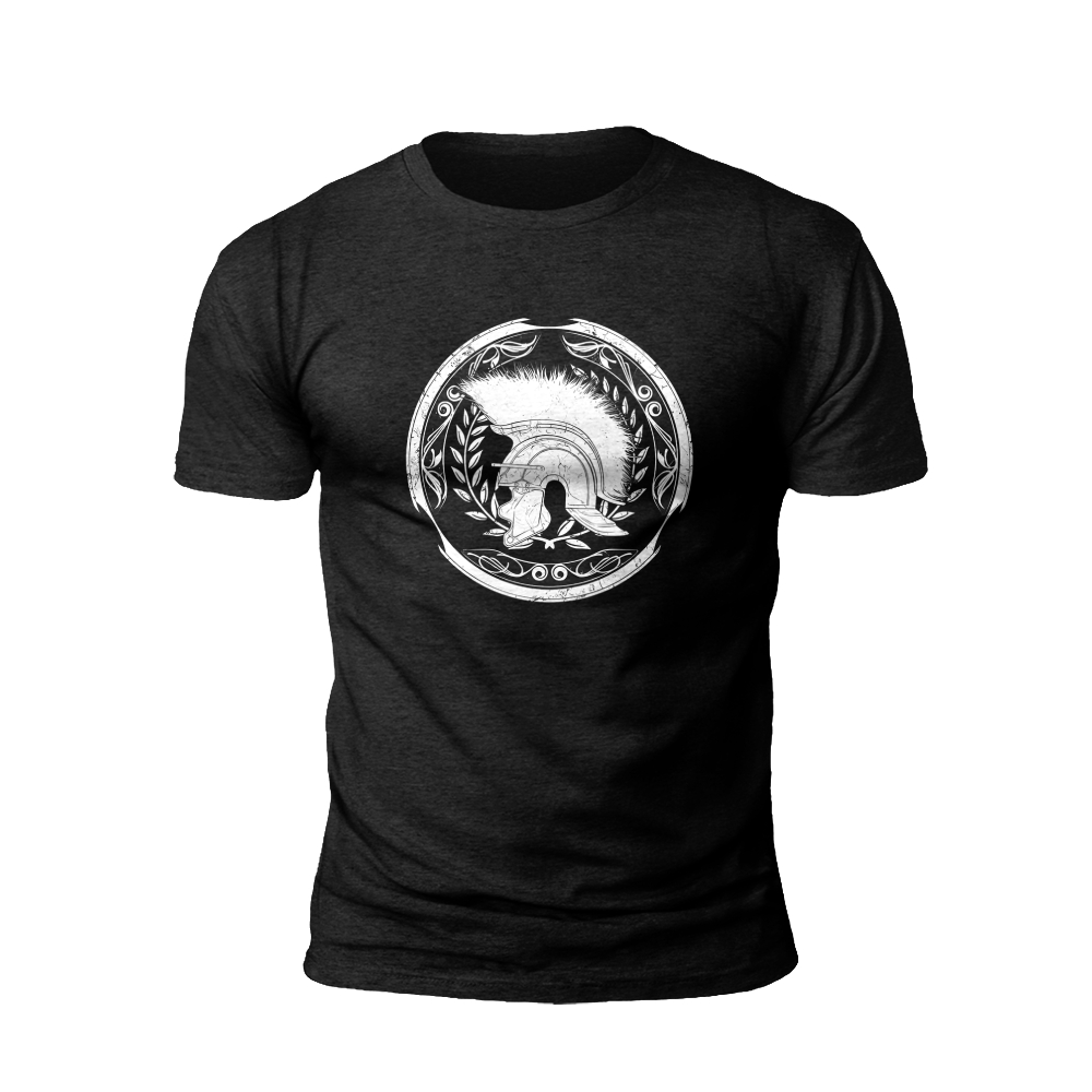 Viking Raven and Shield T-Shirt