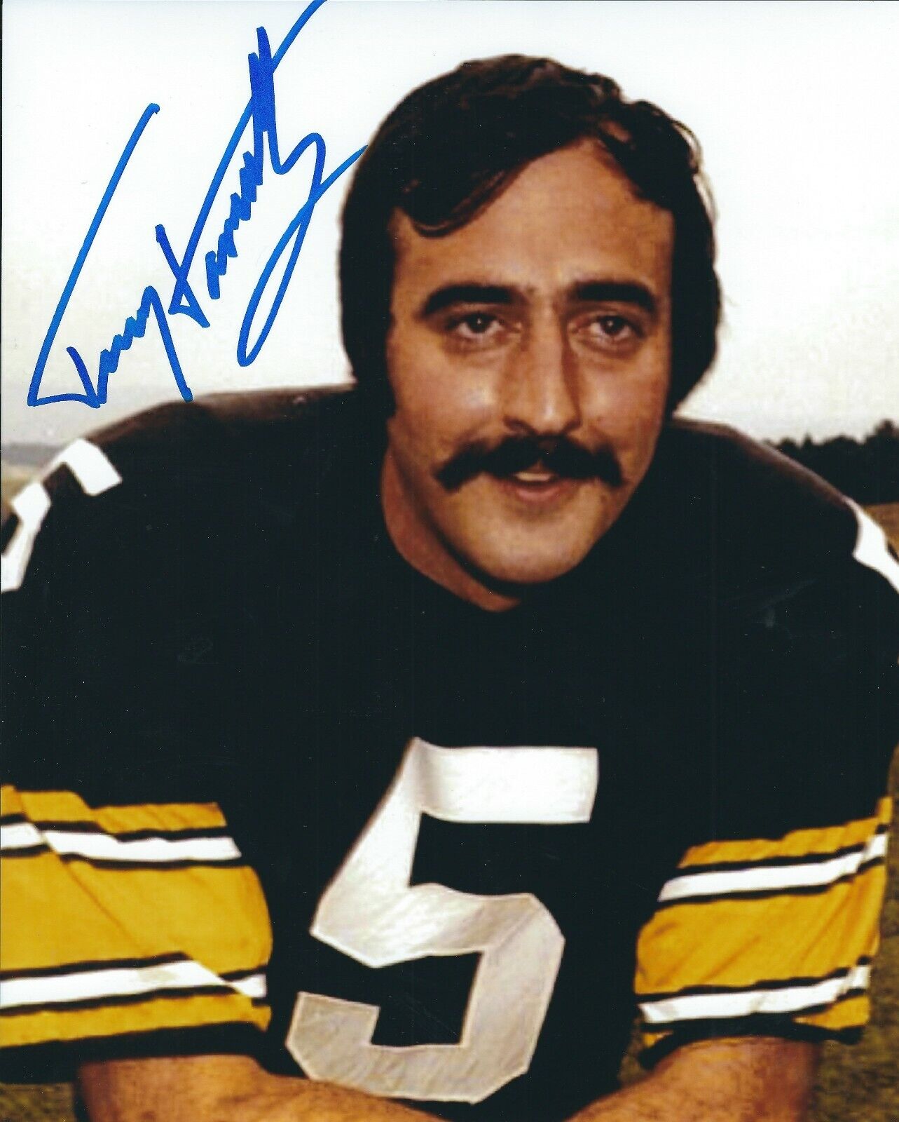 Autographed TERRY HANRATTY Pittsburgh Steelers 8x10 Photo Poster painting w/Show Ticket