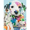 Dog  | Full Square Diamond Painting Kits