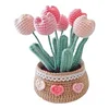 DIY Flower Potted Crochet Kit with Video Tutorial Cute Plants Hand-Knitted Tool