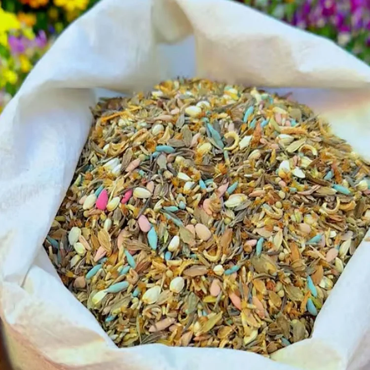 thumbnail image 2 of First Year Flowering Perennial Wildflower Seed Mix - Eden Brothers 2 of 9