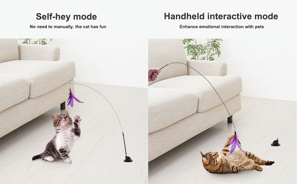 A funny cat with multiple usages
