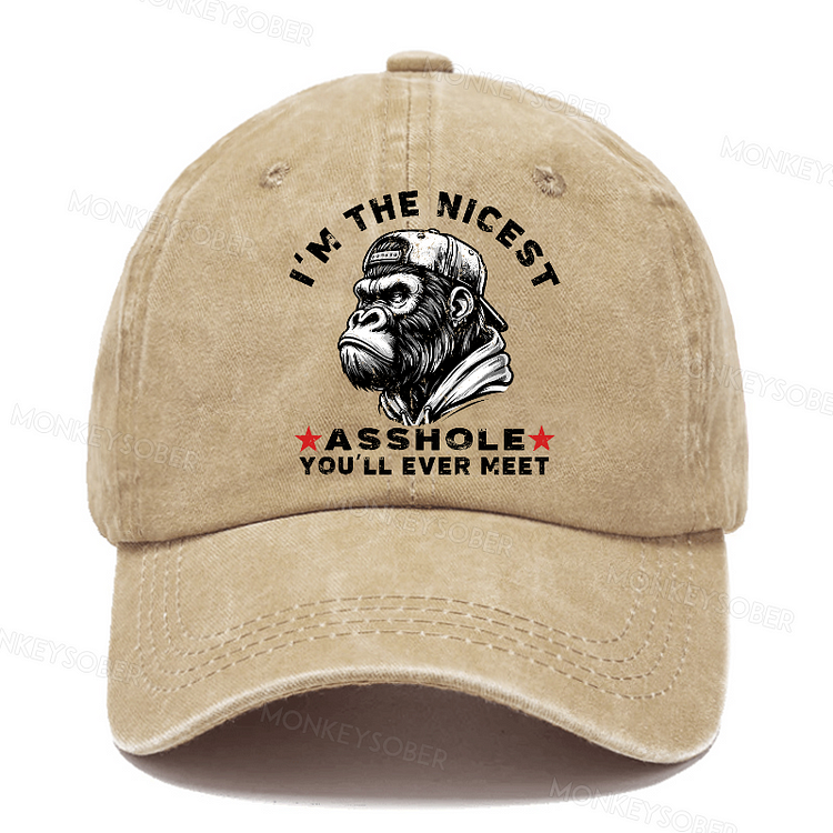 I'm The Nicest Asshole You'll Ever Meet Sarcastic Washed Baseball Caps