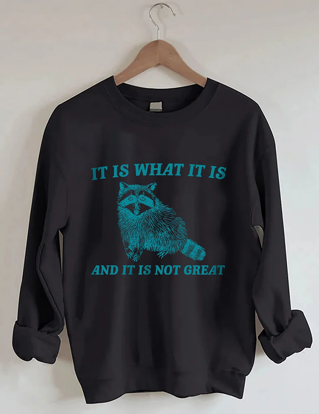 It Is What It Is And It Is Not Great Sweatshirt