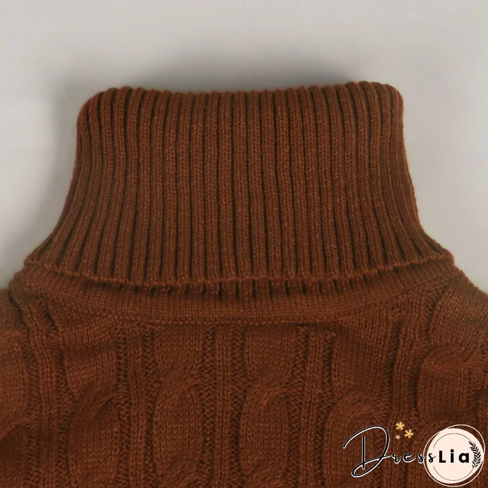 Solid Color Turtleneck Bat Sleeve Sweater Crop Top