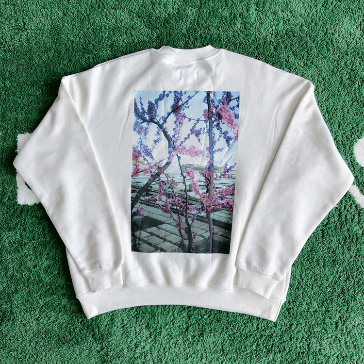 Fog Fear of God Essentials Sweatshirt Flower Photo Printed Crew Neck Sweatshirt