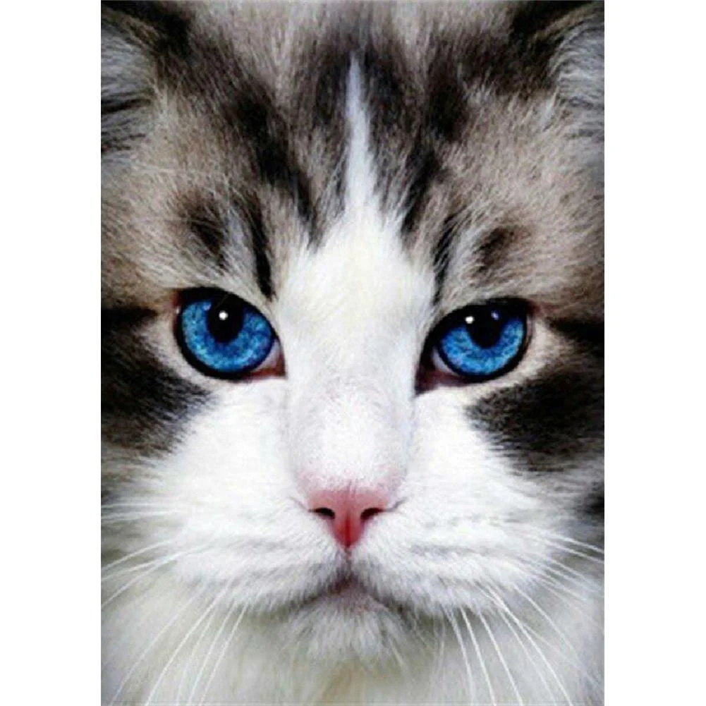 Full Round Diamond Painting - Cat(30*40cm)