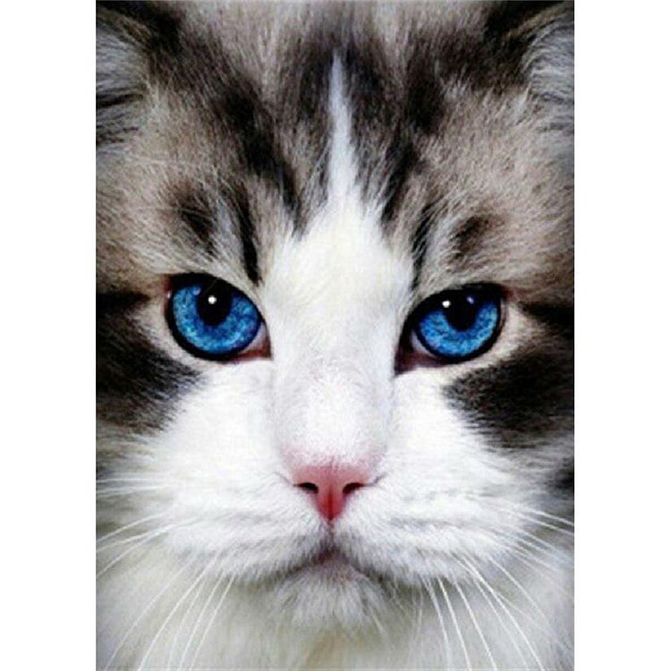 Peinture de diamant - Full Round - Cat