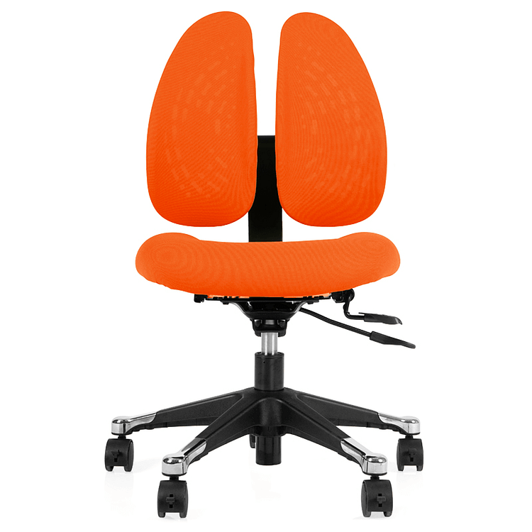 G-007b Twin Back Ergonomic Chair 