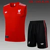 Joyfball 2025/2026 Liverpool pre-match training red Retro version Jersey+Shorts  1:1 Thai Quality