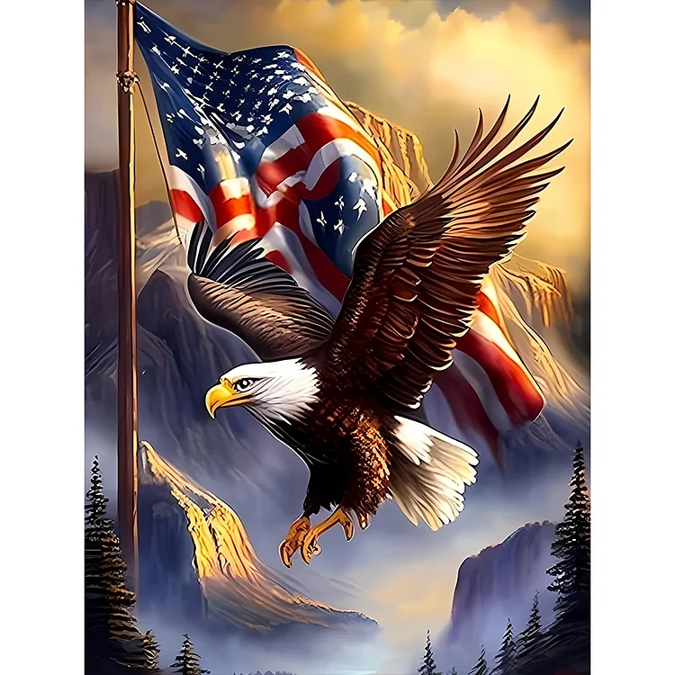 Independence Day Eagle 30*40CM (Canvas) Full Round Drill Diamond Painting gbfke