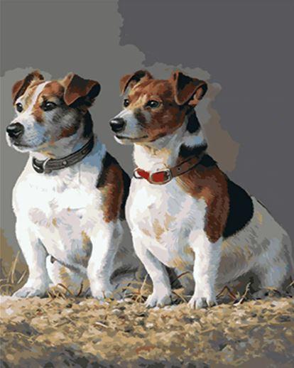

Jack Russell Dogs – Paint By Numbers - 40*50CM, 501 Original