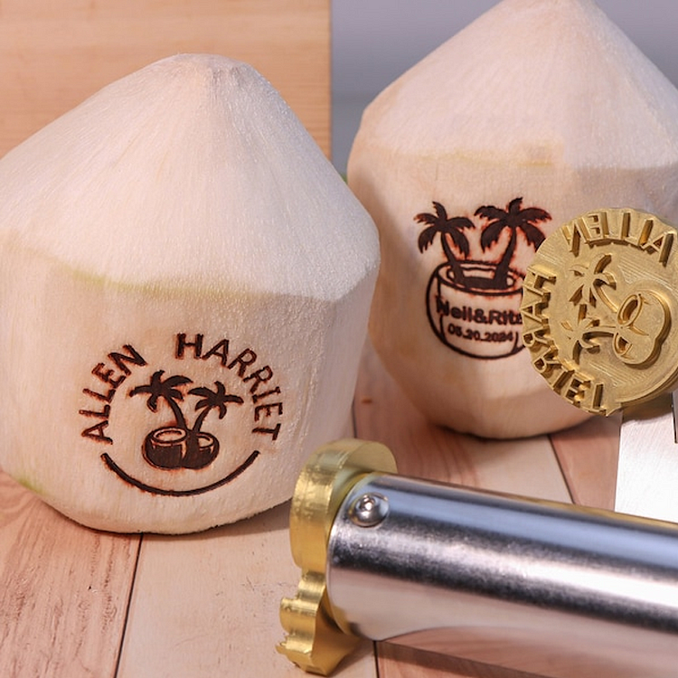 Custom Cocount Branding Iron For Business Hotel Use Adjustable Temperature Heated Food Stamp Personalized Electric Logo Iron 