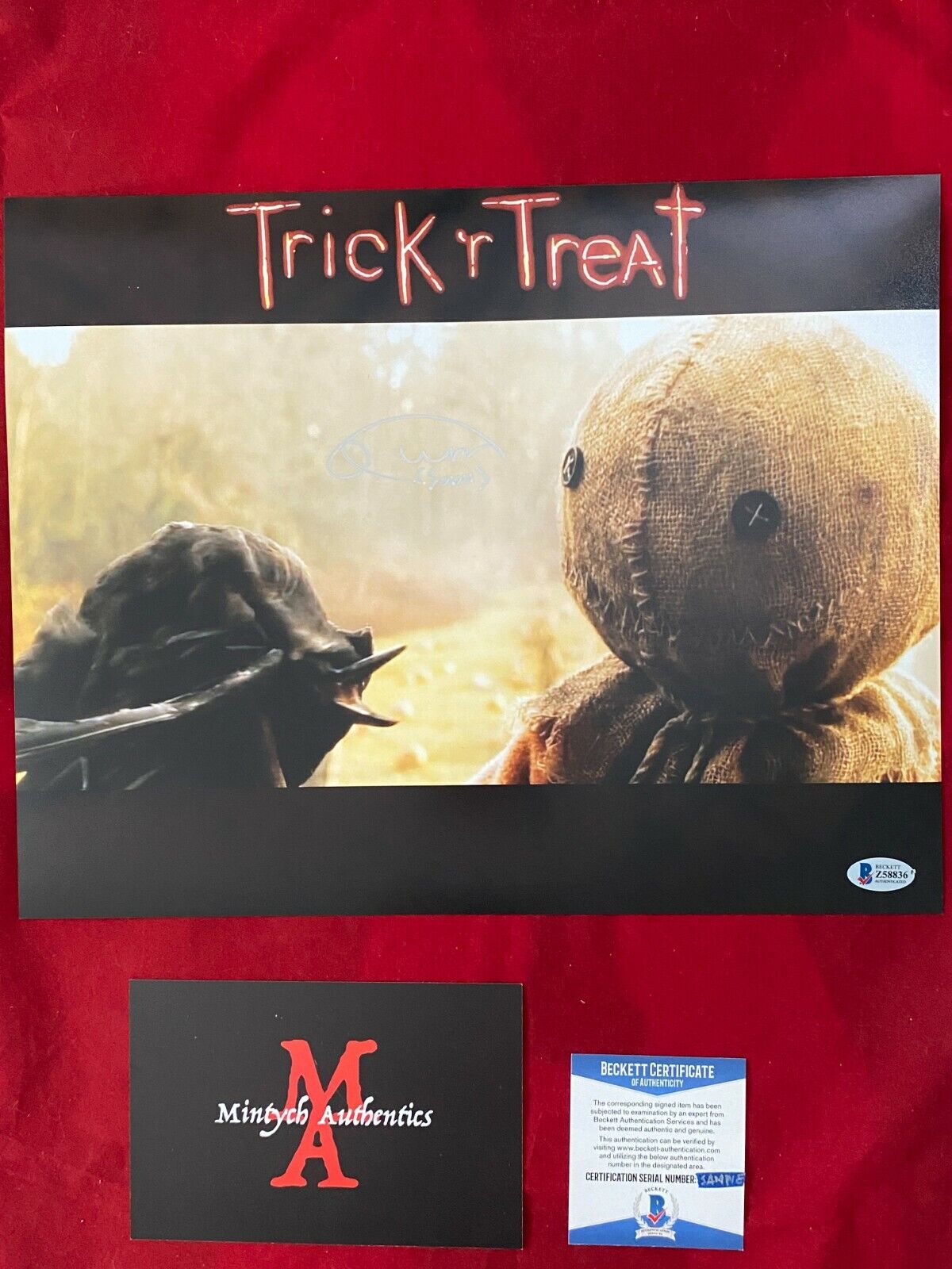 QUINN LORD TRICK 'R TREAT AUTOGRAPHED SIGNED 11x14 Photo Poster painting! BECKETT! HORROR! SAM!