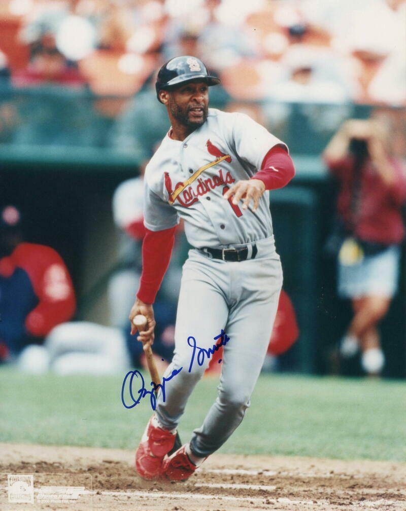 OZZIE SMITH SIGNED AUTOGRAPH 8x10 Photo Poster painting - THE WIZARD ST LOUIS CARDINAL LEGEND