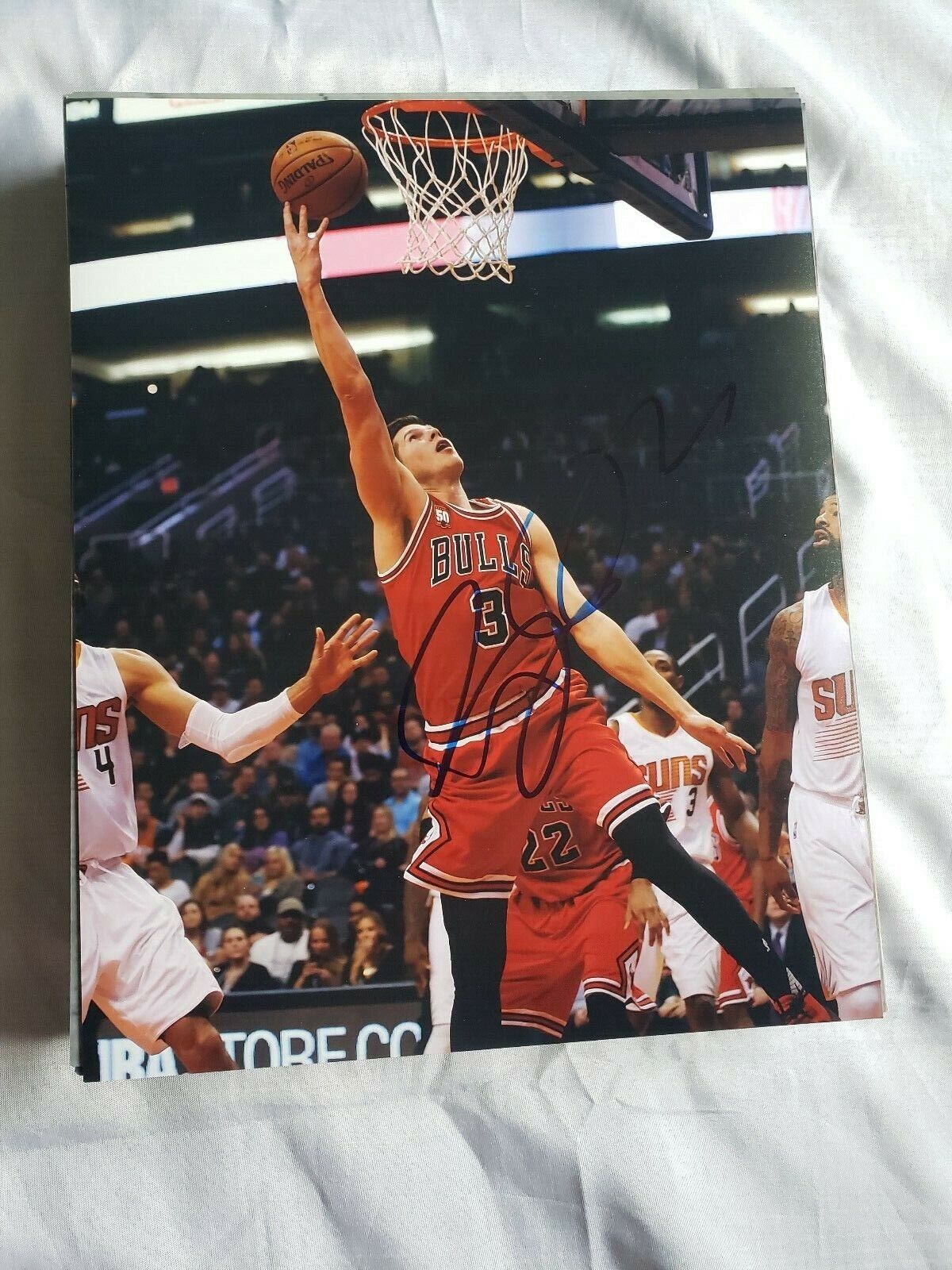 DOUG MCDERMOTT CHICAGO BULLS SIGNED AUTOGRAPHED 8x10 Photo Poster painting COA BASKETBALL PACERS