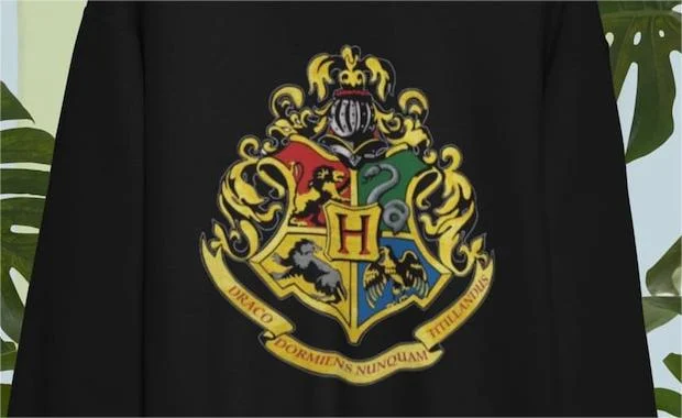 Hogwarts Magic School Sweatshirt