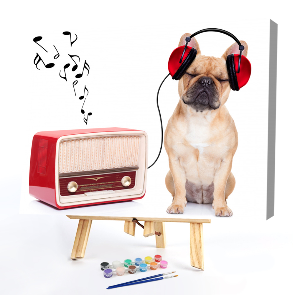

40*50CM Paint By Numbers-Dog Listening Music, 501 Original